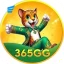 365gg - app